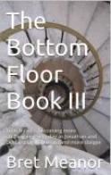 The Bottom Floor Book III: Time travel is becoming more challenging every day as Jonathan and Denise play with more and more danger